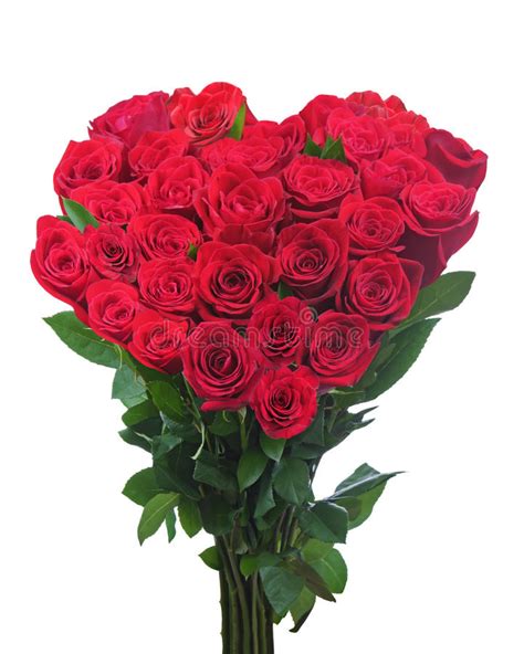 Bouquet di rose rosse fresche di san valentino isolato. Mazzo Dalle Rose Rosse Nella Forma Di Cuore Isolata Su ...