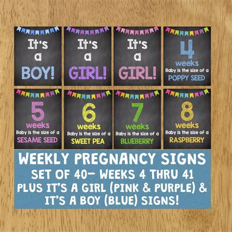 Weekly Pregnancy Chalkboard Signs Weeks 4 41 Maternity Signs Etsy
