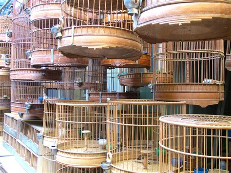 Best dining in edisto island, coastal south carolina: Bird cage. Photo taken at the bird and fish market in ...