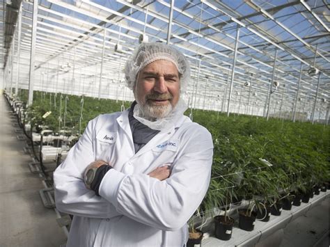 Aphria Becomes Tilray On Wednesday In Giant Pot Merger London Free Press