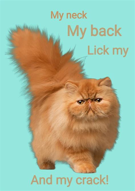 my neck my back lick my pussy and my crack funny ginger pussy cat card thortful