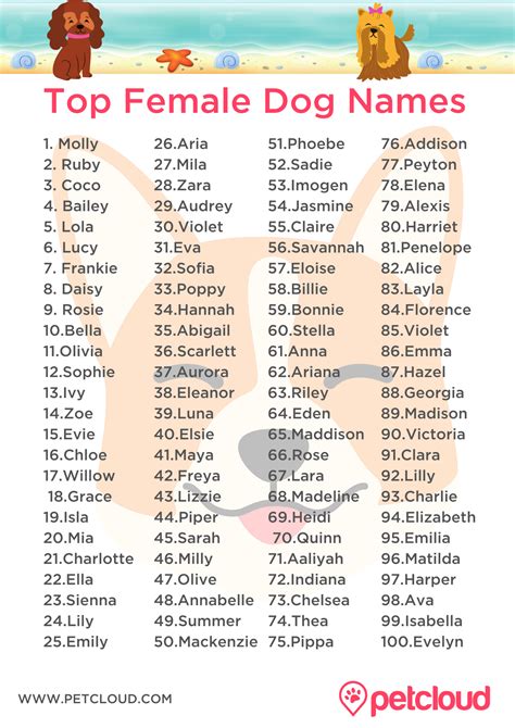 Female Dog Names With Character Female Dog Names What Are The