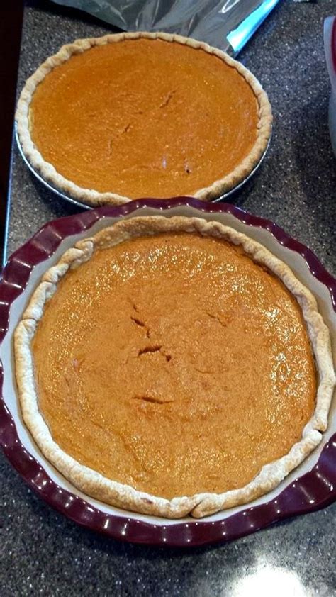 Making Pumpkin Pie Without Evaporated Milk Oak Hill Homestead