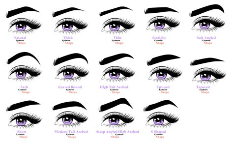 The Fullest Eyebrow Shapes Guide You Need Lilac St