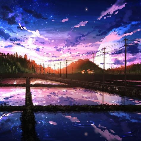Beautiful Sunrise Clouds Scenery Paddy Field Anime 4k 113