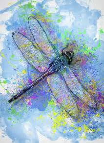 Colorful Dragonfly Painting By Jack Zulli