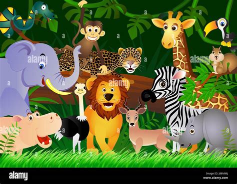 Animal Africa Jungle Illustration Safari Cartoon Forest Nature