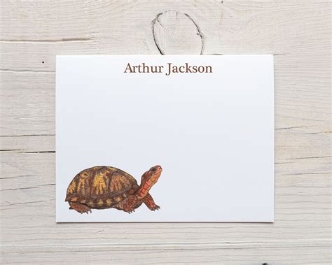 Personalized Turtle Stationery Turtle Notecards Box Turtle Etsy
