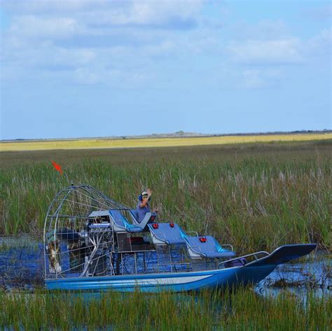 Everglades River Of Grass Adventures Excursiones En Bote Aire