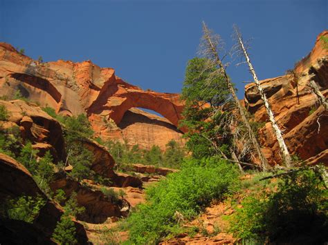 Parking may be available in the town of springdale, just outside the park.pic.twitter.com/dgkqrcyot2. 7 Things To Do In Zion National Park | Sierra Trading Post Blog