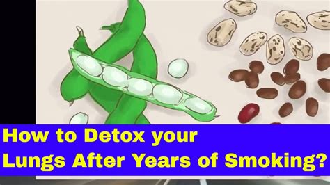 Maybe you would like to learn more about one of these? How to Detox your Lungs after you Quit Smoking - YouTube