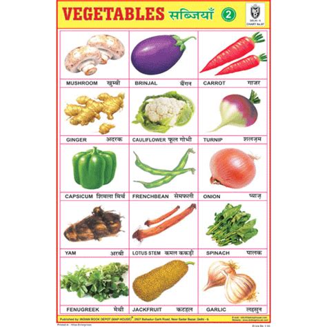 Vegetables Chart No2 Size 24 X 36 Cms Chart No 97