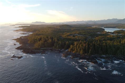Inside Vancouver Islands Nami Project Landscape Hotel Field Mag