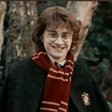 Harry Potter Aesthetic Pfp My Little Darling Fib Tried To Help Me Ma