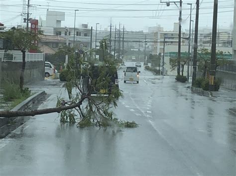Joint typhoon warning center (jtwc). 大型で非常に強い台風24号 沖縄本島では各地で記録的な暴風を ...