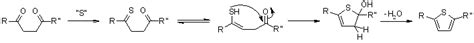 Paal Knorr Synthesis Of Thiophene - Paal-Knorr Thiophene Synthesis