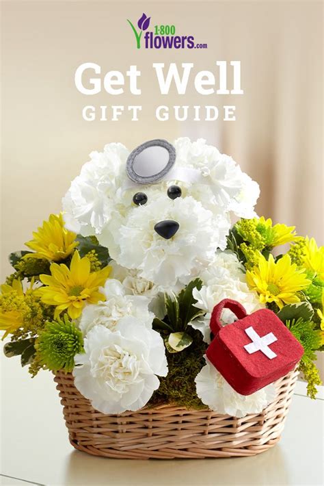 Get Well T Guide Get Well Flowers Fresh Flowers Online Animal
