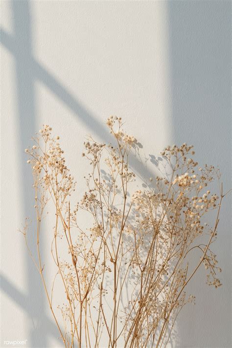 Usa.com provides easy to find states, metro areas, counties, cities, zip codes, and area codes information, including population, races, income, housing, school. Dried gypsophila with window shadow on a beige wall ...