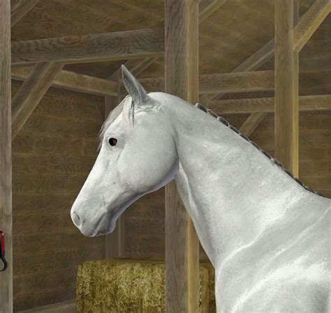 Mod The Sims Head Slider Pack For Horses Horses Sims Sliders