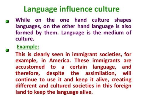 Relationship Between Language Culture And Identity