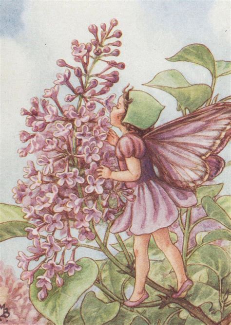 Flower Fairies The Lilac Fairy Vintage Print C1930 By Cicely Mary