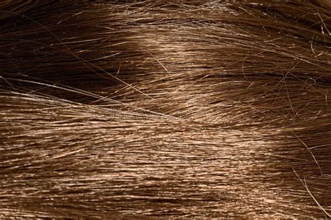 Texture Of Brown Hair Stock Image Image Of Coiffure 101127703