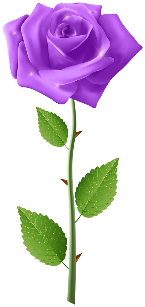 Explore similar vector, clipart, realistic png images on. Purple Rose with Steam Transparent Image | Gallery ...