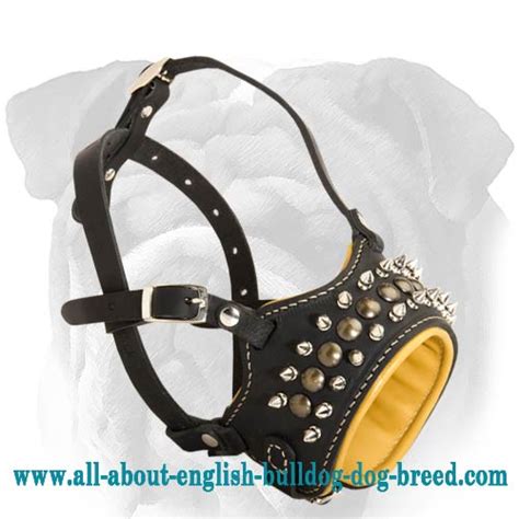 Deluxe Genuine Leather English Bulldog Muzzle With Studs And Spikes