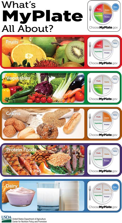 Types Of Food Groups And Examples Meats And Similar Foods Such As Fish