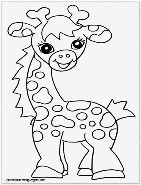 Jungle Animals Drawing at GetDrawings | Free download