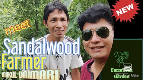 Meet Sandalwood Farmer In Assam In Assamese With English Subtitles