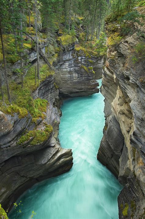 Athabasca Falls Canyon Jasper National By Alan Majchrowicz
