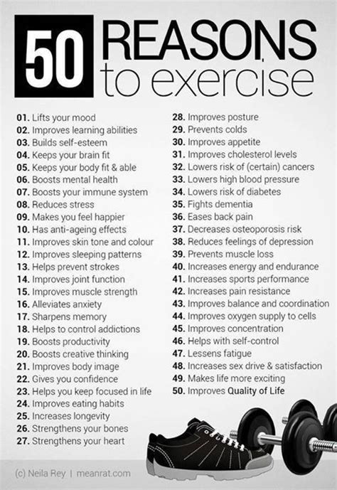 Exercise And Fitness Go To Guide