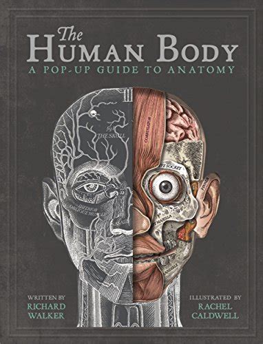 The thing is that anatomy books usually give you a shape of a person that is all the same, and there. The Human Body: A Pop-Up Guide to Anatomy Book Review and Ratings by Kids - Richard Walker