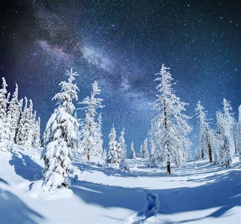 Starry Sky In Winter Snowy Night Fantastic Milky Way Stock Image