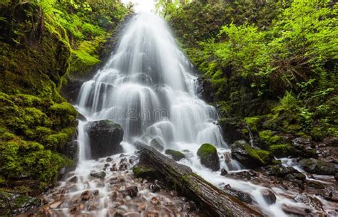 Fairy Falls In Columbia River Gorge Oregon Stock Image Image Of