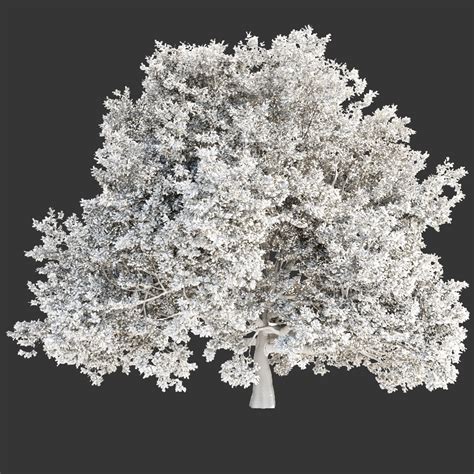 Collection Of Trees 3d Model Vol 9 Cgtrader