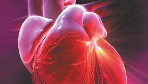 Les Maladies Cardio Vasculaires Pour La Science
