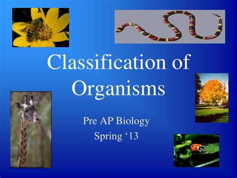 Introduction To Classification Of Organisms In Englis