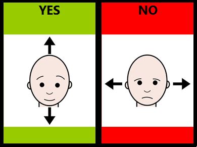 The yes no wheel will accumulate the result, so that it can further. Teaching Learners with Multiple Special Needs: The Yes/No ...