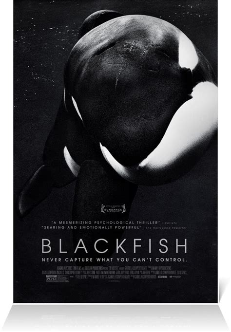 We love documentaries at wired and, as this list proves, there are dozens of great ones worthy of your time and attention. Best Documentaries of 2013 - Why Blackfish Matters • HESO ...