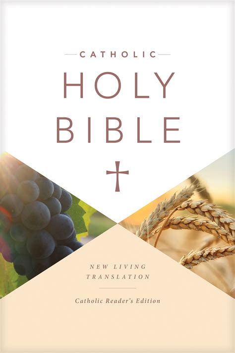Nlt Catholic Holy Bible Readers Edition By Tyndale Free Delivery
