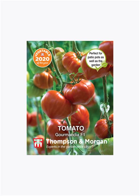 Tomato Gourmandia F1 Hybrid Seeds Dobbies Garden Centres