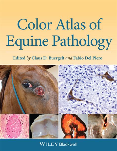 Ebook Color Atlas Of Equine Pathology Von Claus D Buergelt Isbn 978
