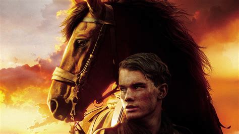 War Horse Hd Wallpaper Hintergrund 1920x1080