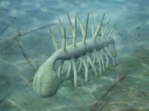 Hallucigenia Revealed The Most Surreal Creature From The Cambrian