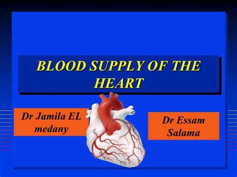 Deoxygenated blood enters the right atrium from the vena cava. PPT - BLOOD SUPPLY OF THE HEART PowerPoint Presentation ...