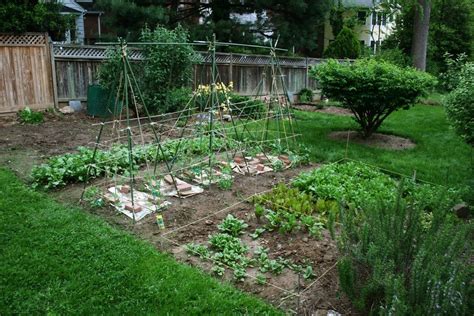 Use this guide to learn how to start a vegetable garden and choose the this will help you estimate how many seed packets or plants you'll need to buy. Vegetable Gardening Tips: Starting Backyard Vegetable ...