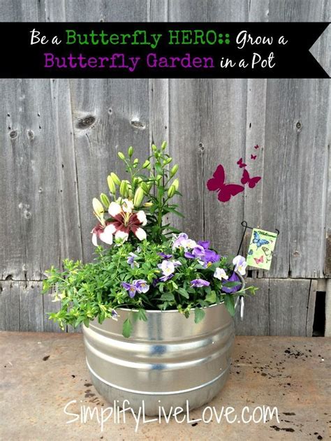 Grow A Butterfly Garden In A Pot Simplify Live Love Butterfly