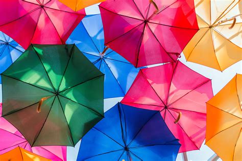 The Best British Umbrella Brands 2021 Style Luxury Umbrellas